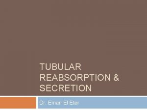 TUBULAR REABSORPTION SECRETION Dr Eman El Eter Juxtamedullary