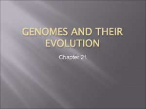 GENOMES AND THEIR EVOLUTION Chapter 21 Bioinformatics Scientists