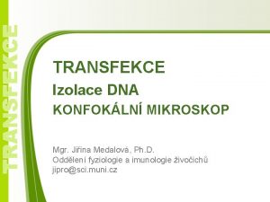 TRANSFEKCE Izolace DNA KONFOKLN MIKROSKOP Mgr Jiina Medalov