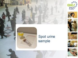 Spot urine sample Based on EHES Manual Part