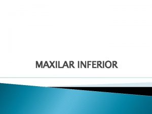 MAXILAR INFERIOR Maxilar inferior Es impar medio simetrico