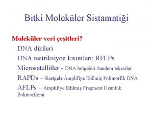 Bitki Molekler Sistamatii Molekler veri eitleri DNA dizileri