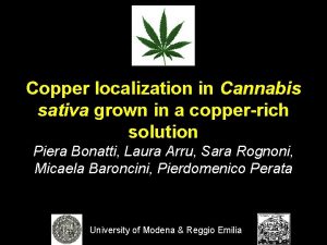 Copper localization in Cannabis sativa grown in a