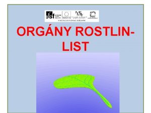 ORGNY ROSTLINLIST LIST vegetativn st rostlin funkce umouj