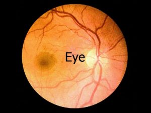 Eye Layers Cornealscleral layer tunica fibrosa Uvea tunica