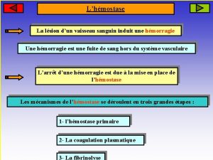 Lhmostase La lsion dun vaisseau sanguin induit une