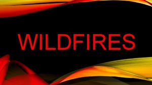 WILDFIRES WHAT ARE THEY Uncontrolled blazes fueled by