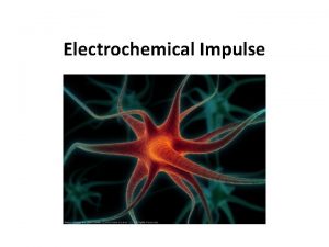 Electrochemical Impulse Resting Membrane Potential Inside of neuron