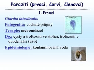 Paraziti prvoci ervi lenovci I Prvoci Giardia intestinalis