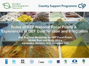 Roles of GEF National Focal Points Experiences in