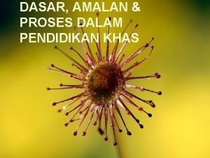 DASAR AMALAN PROSES DALAM PENDIDIKAN KHAS Definisi Dasar