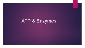 ATP Enzymes Why do we need energy Energy