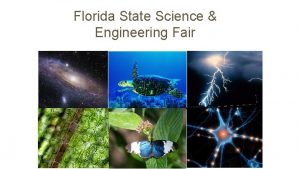 Florida State Science Engineering Fair Adult Roles and