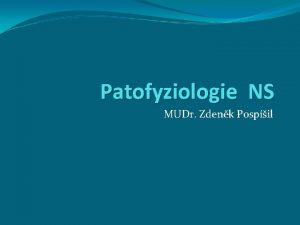 Patofyziologie NS MUDr Zdenk Pospil Mozkov kra Limbick