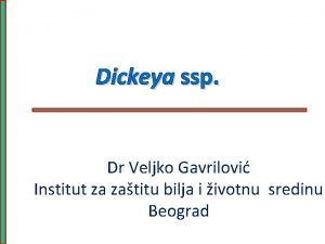Dickeya ssp Dr Veljko Gavrilovi Institut za zatitu