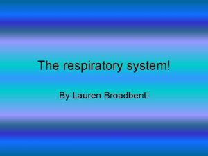 The respiratory system By Lauren Broadbent Have you