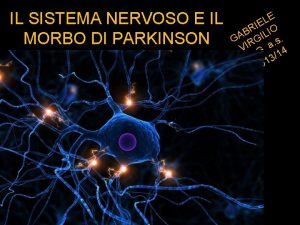 IL SISTEMA NERVOSO E IL MORBO DI PARKINSON