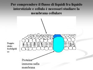 Per comprendere il flusso di liquidi fra liquido