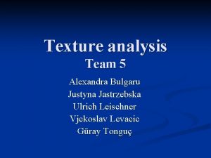 Texture analysis Team 5 Alexandra Bulgaru Justyna Jastrzebska