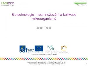 Biotechnologie rozmnoovn a kultivace mikroorganism Josef Trgl Modernizace