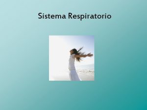 Sistema Respiratorio ndice Introduccin Objetivo Qu es Sistema