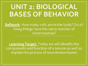 UNIT 2 BIOLOGICAL BASES OF BEHAVIOR Bellwork How