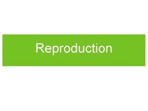 Reproduction Eggs Sperm are made in Gonads Female