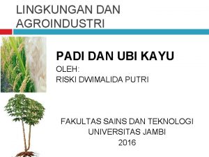 LINGKUNGAN DAN AGROINDUSTRI PADI DAN UBI KAYU OLEH