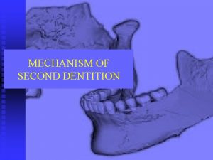 MECHANISM OF SECOND DENTITION Diphyodont and Heterodont humans