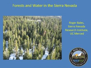 Forests and Water in the Sierra Nevada Roger