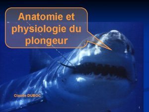 Anatomie et physiologie du plongeur Claude DUBOC 1