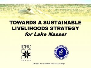 TOWARDS A SUSTAINABLE LIVELIHOODS STRATEGY for Lake Nasser