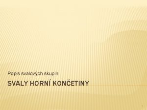 Popis svalovch skupin SVALY HORN KONETINY 1 SVALY