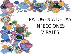 PATOGENIA DE LAS INFECCIONES VIRALES TODA CLULA PERMISIVA