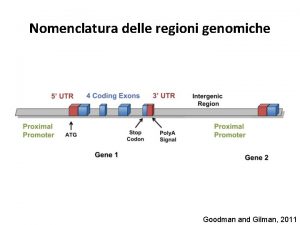 Nomenclatura delle regioni genomiche Goodman and Gilman 2011