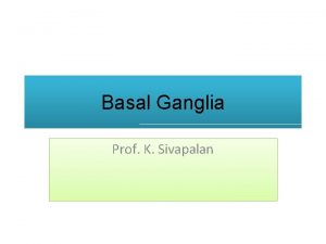 Basal Ganglia Prof K Sivapalan Basal Ganglia 10242021