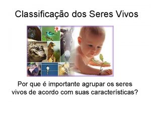 Classificao dos Seres Vivos Por que importante agrupar