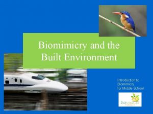 Biomimicry and the Built Environment Introduction to Biomimicry