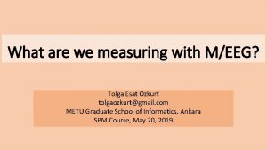 What are we measuring with MEEG Tolga Esat
