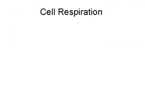 Cell Respiration Cell Respiration Cell Respirationprocess by which