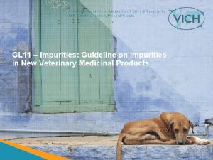 GL 11 Impurities Guideline on Impurities in New