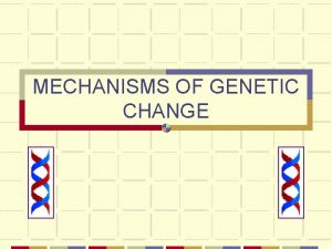 MECHANISMS OF GENETIC CHANGE GENETIC MUTATION Mutations occur