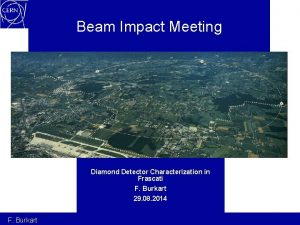 Beam Impact Meeting Diamond Detector Characterization in Frascati