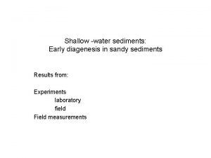 Shallow water sediments Early diagenesis in sandy sediments