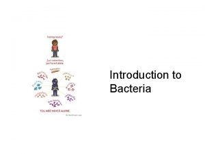 Introduction to Bacteria Ubiquity of Bacteria Ubiquity yoobikwitee