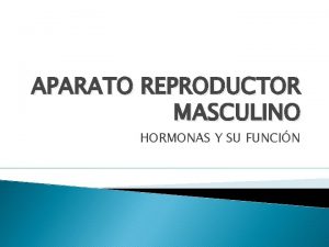 APARATO REPRODUCTOR MASCULINO HORMONAS Y SU FUNCIN EL