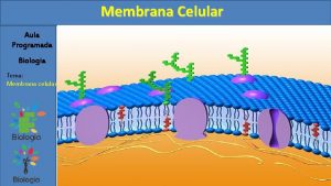 Membrana Celular Aula Programada Biologia Tema Membrana celular