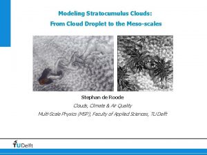 Modeling Stratocumulus Clouds From Cloud Droplet to the