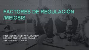 FACTORES DE REGULACIN MEIOSIS PROFESOR FELIPE ESPINA ASTUDILLO