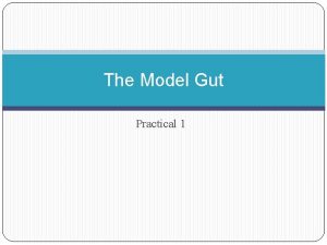 The Model Gut Practical 1 Mammalian Nutrition Learning